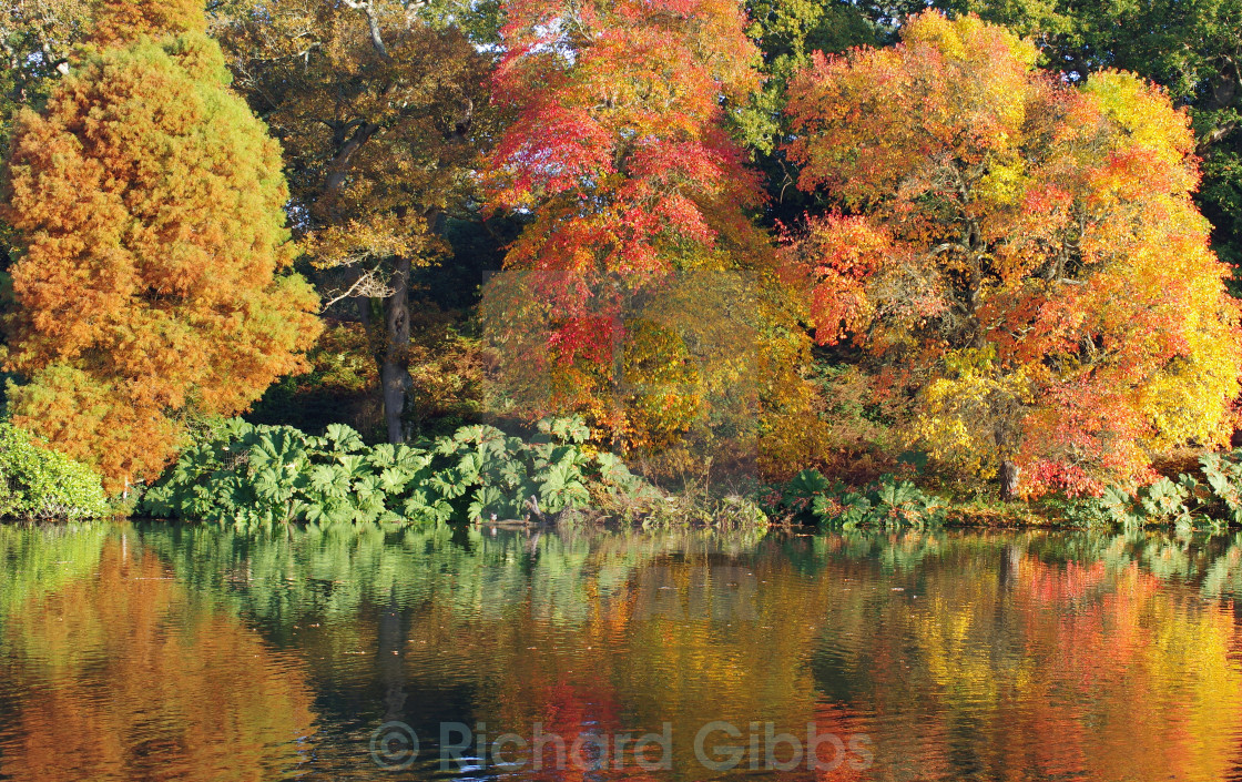 "Autumn Colours" stock image