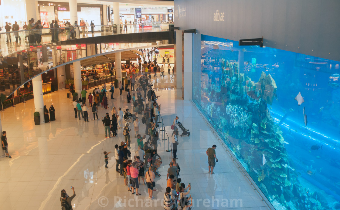 Dubai United Arab Emirates Huge Aquarium Inside Dubai Mall