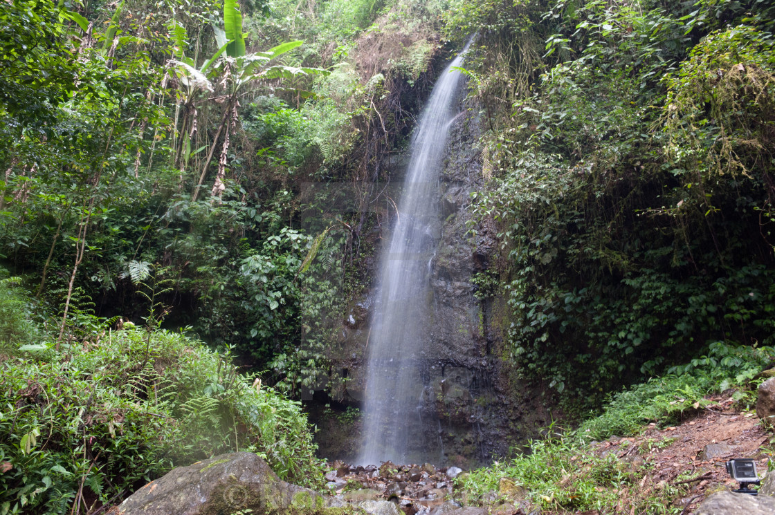 Cianjur Cibodas Taman Nasional Gunung Gede Pangrango