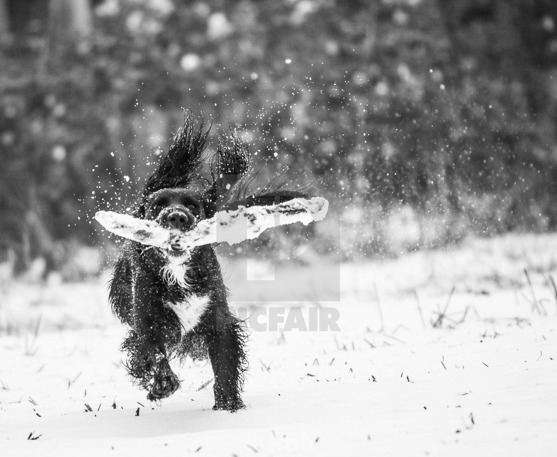 "Look What I have found!!?!?!" stock image