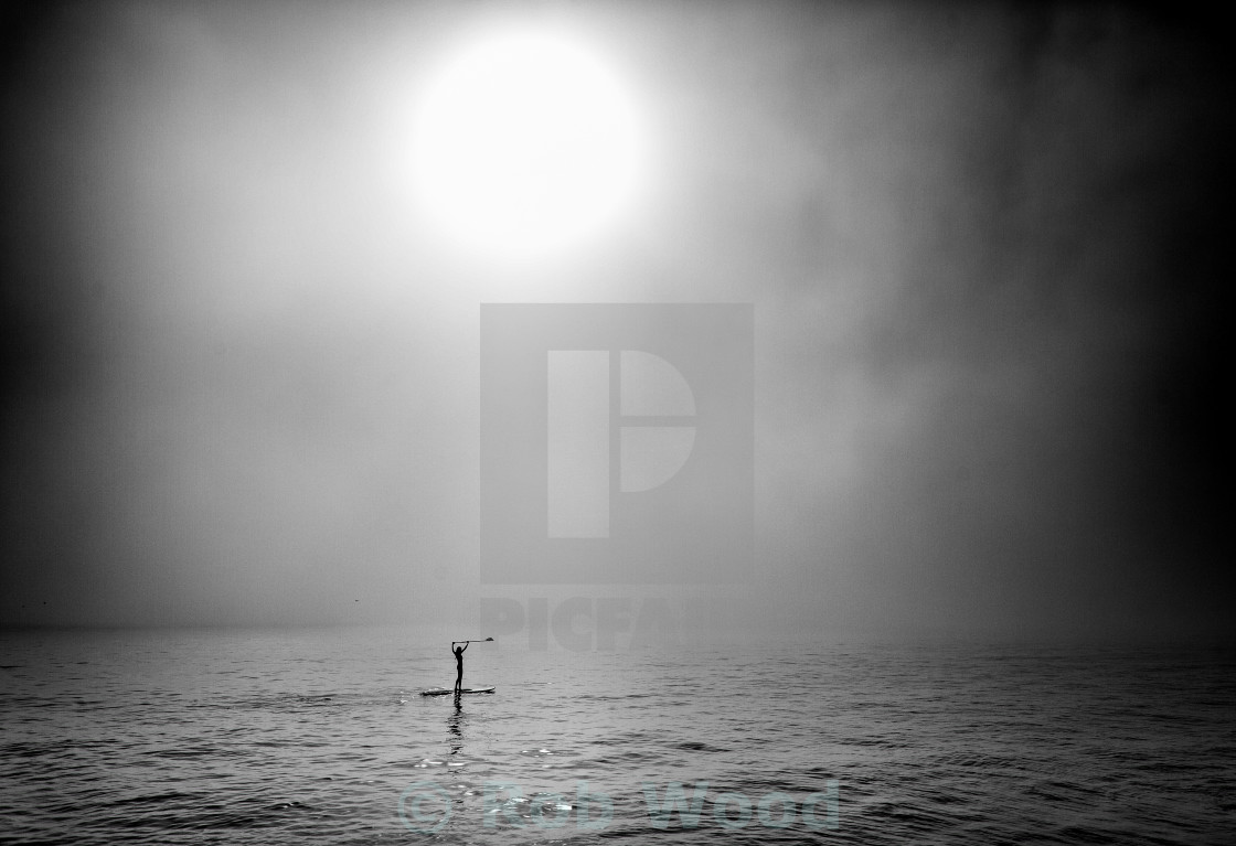 "Surfboarder with Paddle." stock image