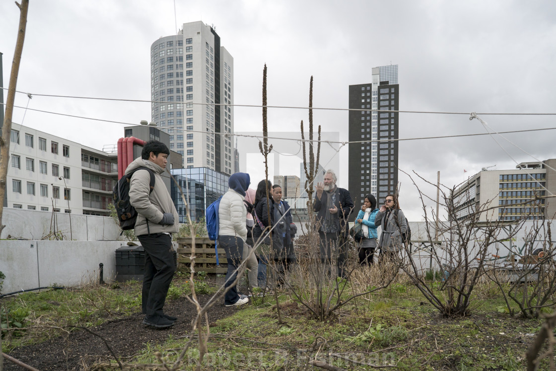 Dakakker Rooftop Garden License Download Or Print For 15 00 Photos Picfair