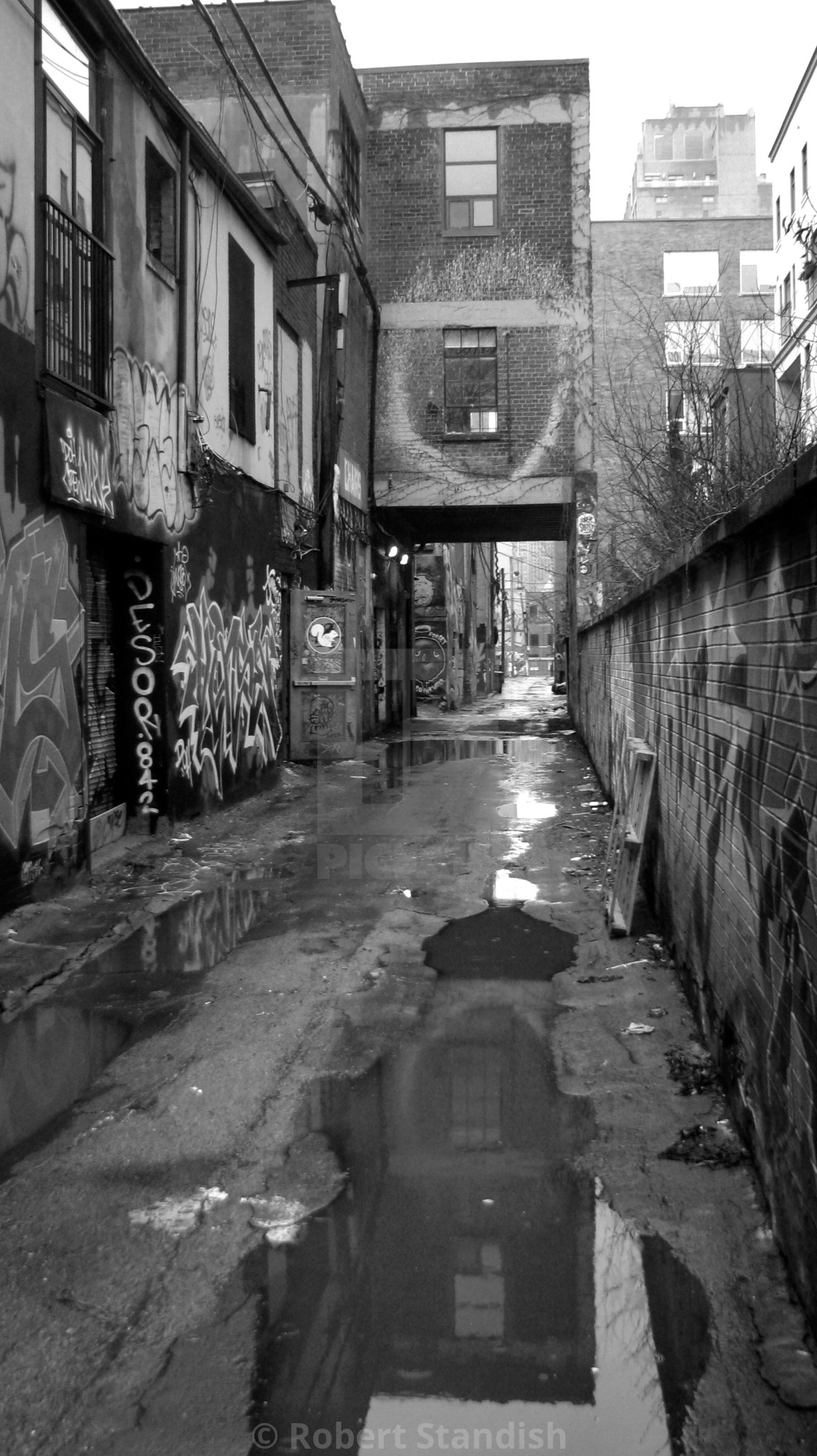 Back Alley Graffiti License Download Or Print For 12 40 Photos Picfair