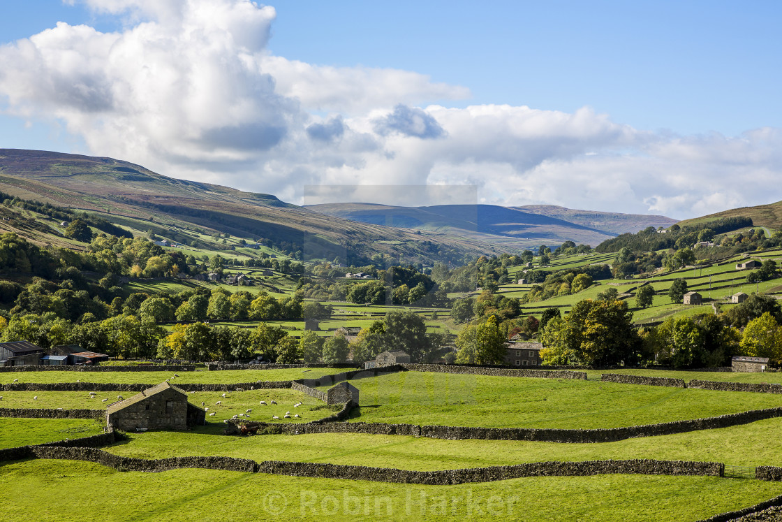 "Swaledale,North Yorkshire." stock image