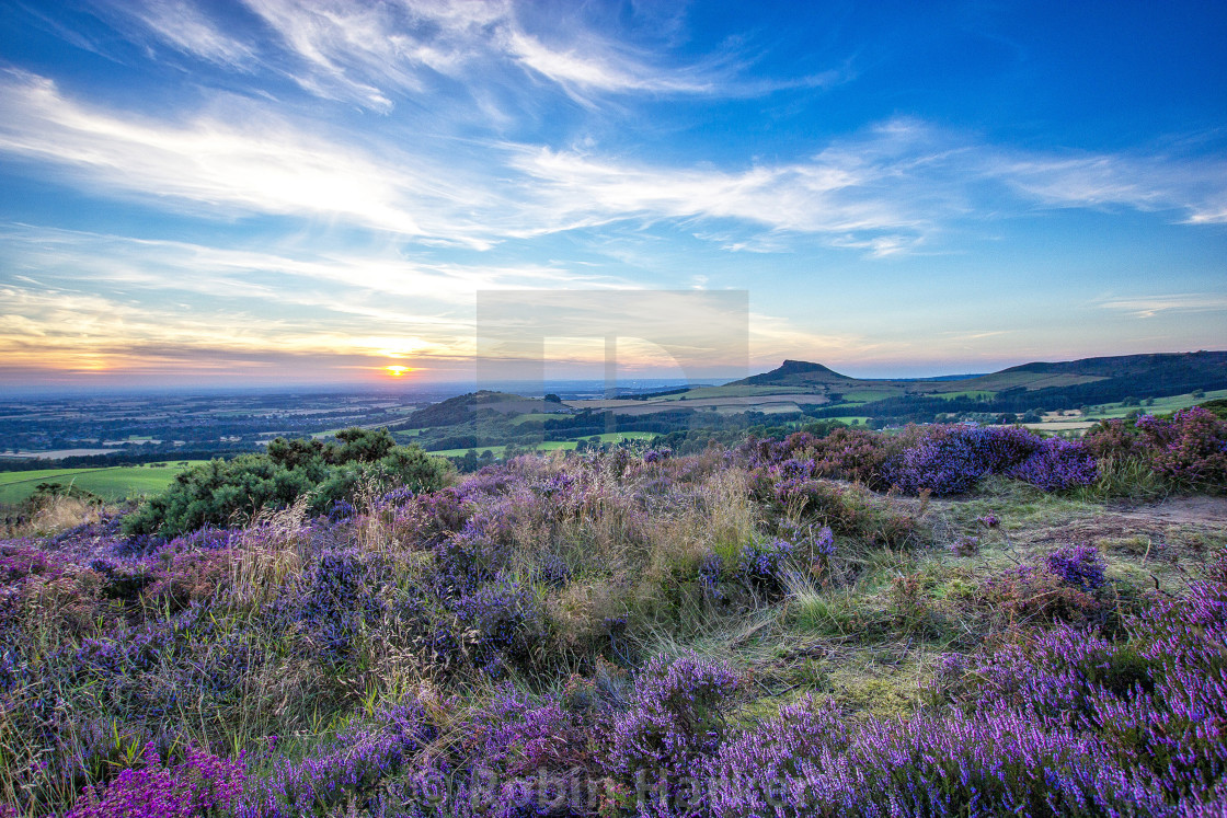 "Gribdale Sunset in August (1)" stock image