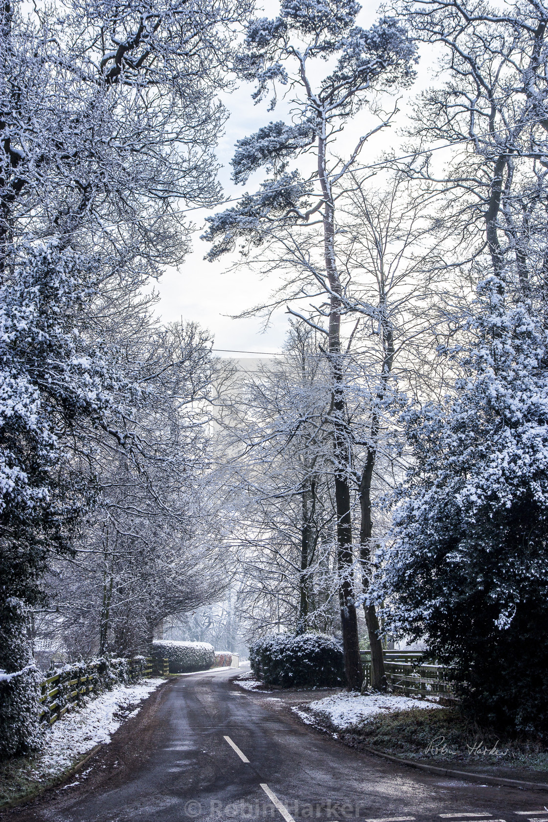 "Winter Road." stock image