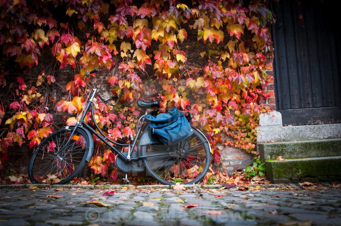 "Autumn leaves and bike" stock image