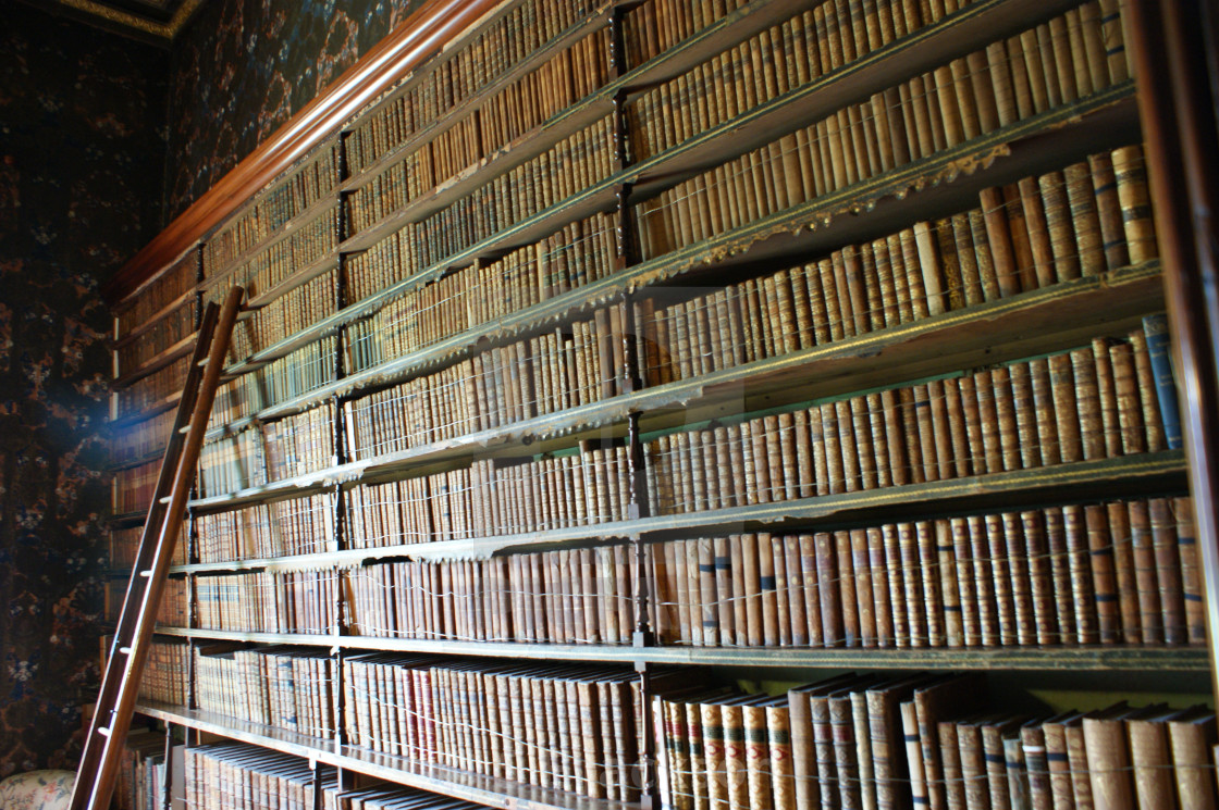 Haunted Library License Download Or Print For 12 50 Photos Picfair