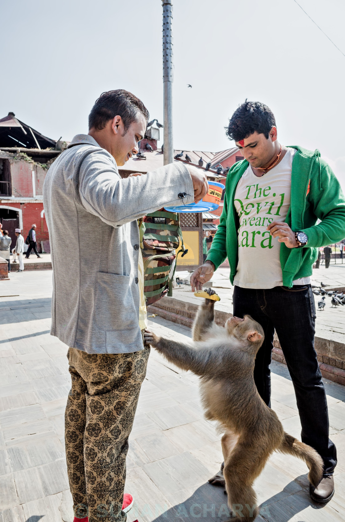 "Gimme Bananas!!" by SUMAN ACHARYA - $18.85 "Gimme Bananas!!" stock image