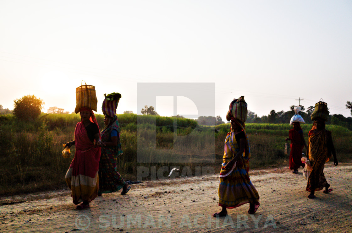 "Returning Home" stock image