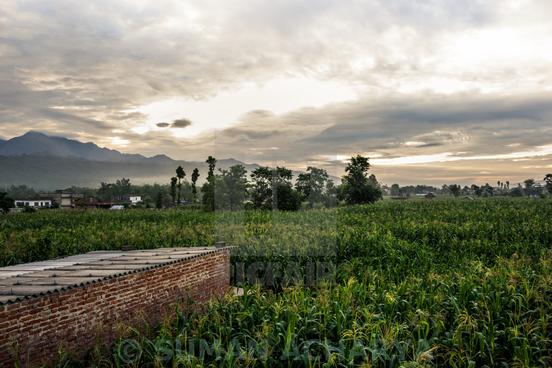 "Cloudy Morning" stock image