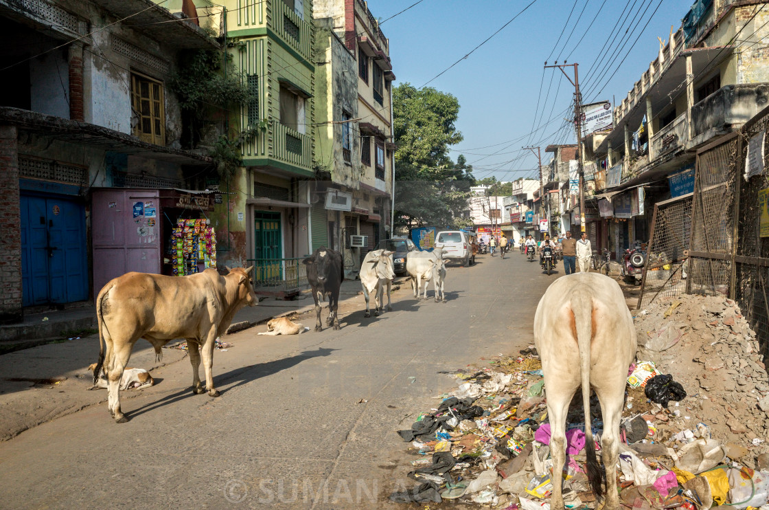 "Gorakhpur Street" stock image