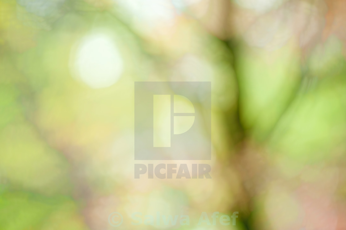 "Tree Abstract" stock image
