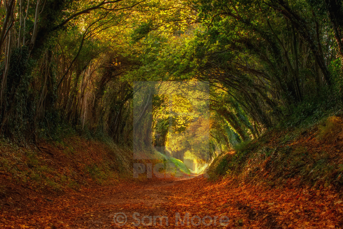 "Halnaker Tunnel" stock image