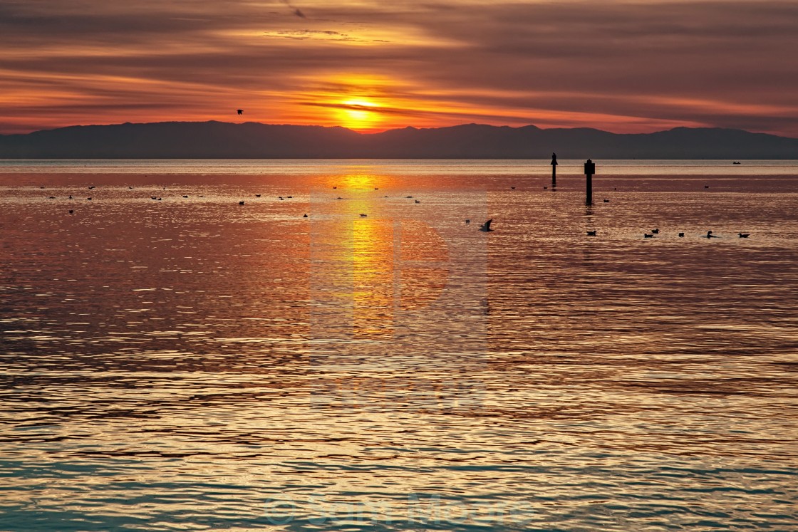 "San Francisco Bay" stock image