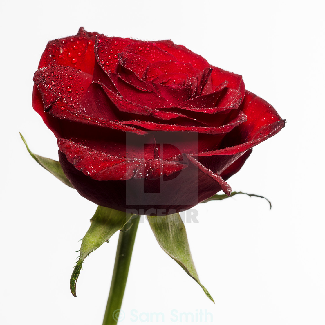 from £24.80