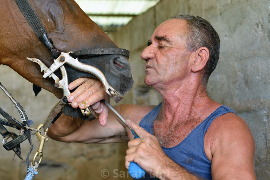 "Check-up" stock image