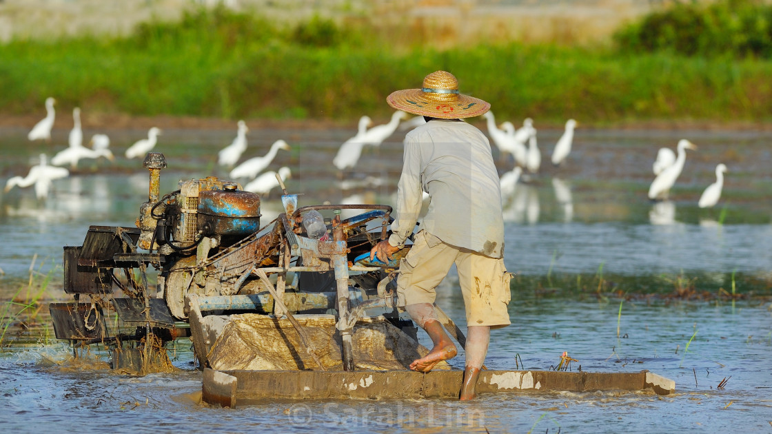 "Plougher 2" stock image