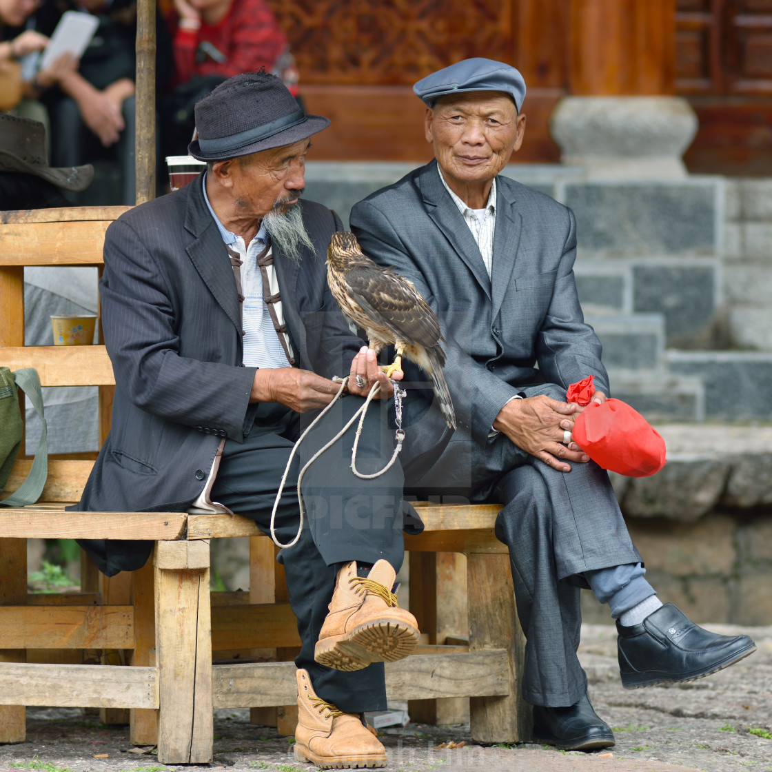 "The bird man" stock image