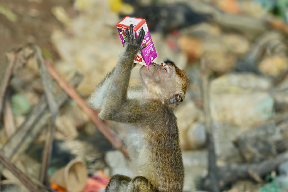 "Thirsty work 1" stock image