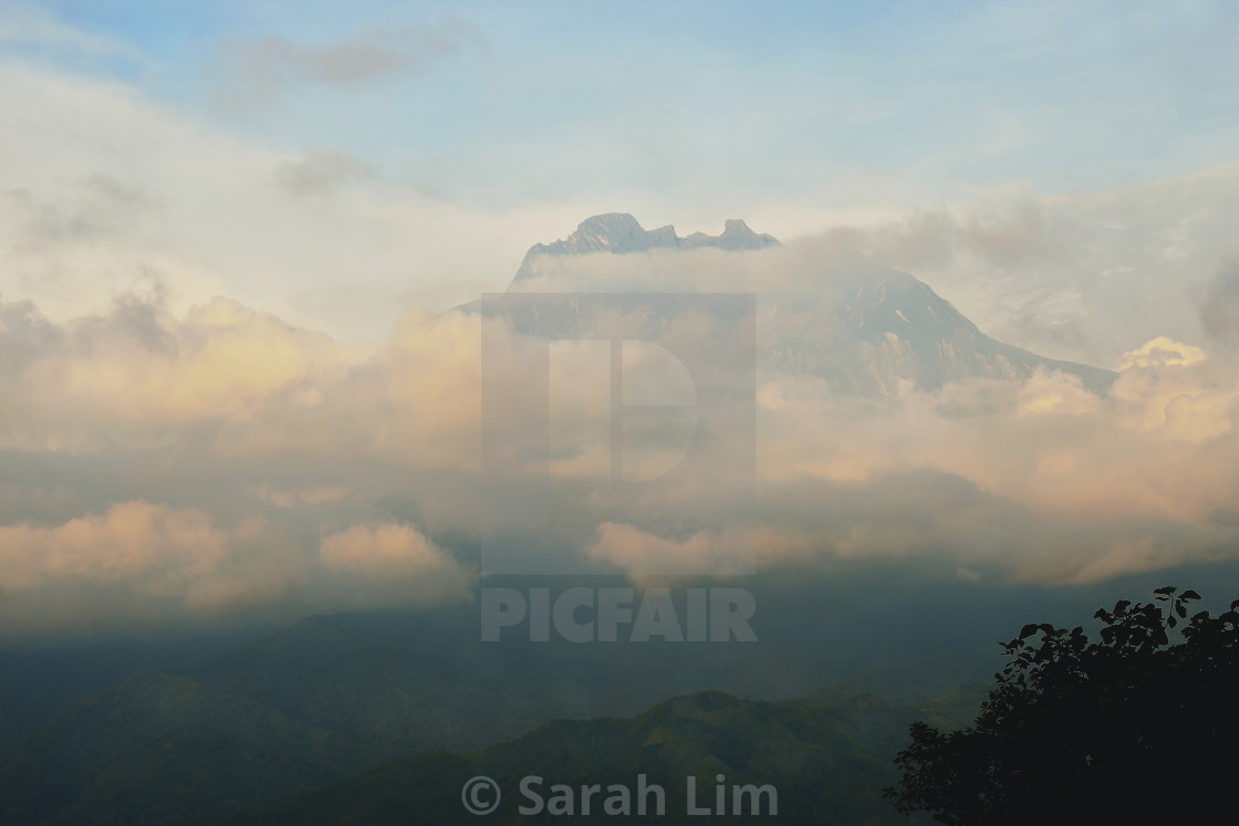 "Mt Kinabalu" stock image