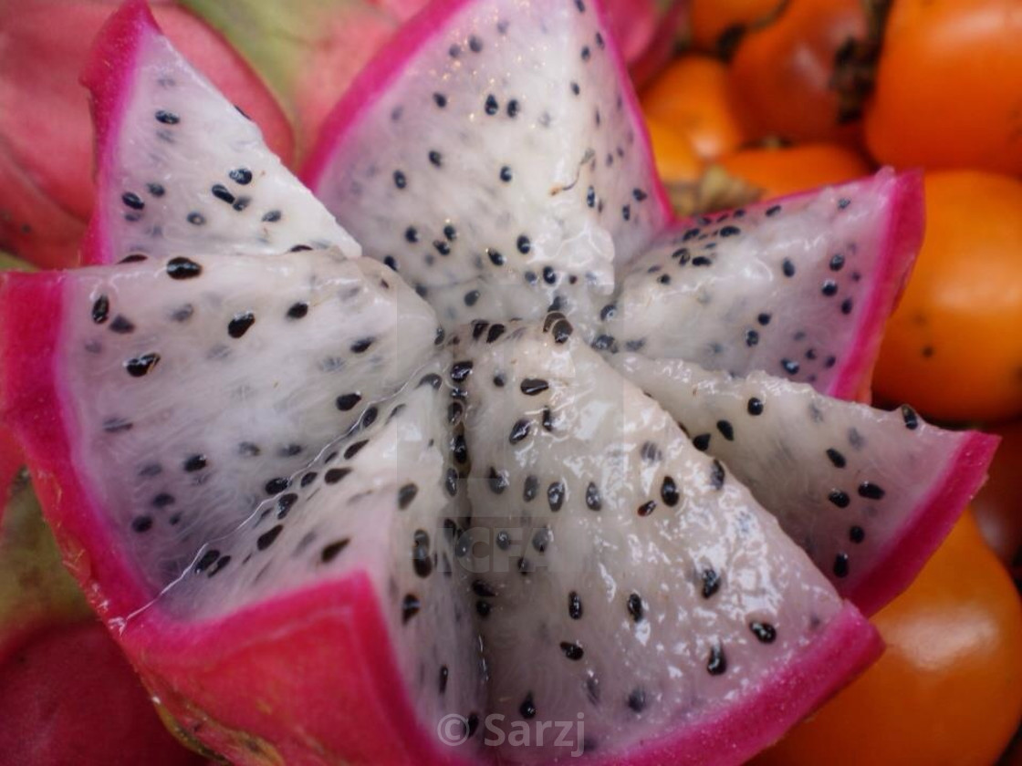 "Fruit" stock image