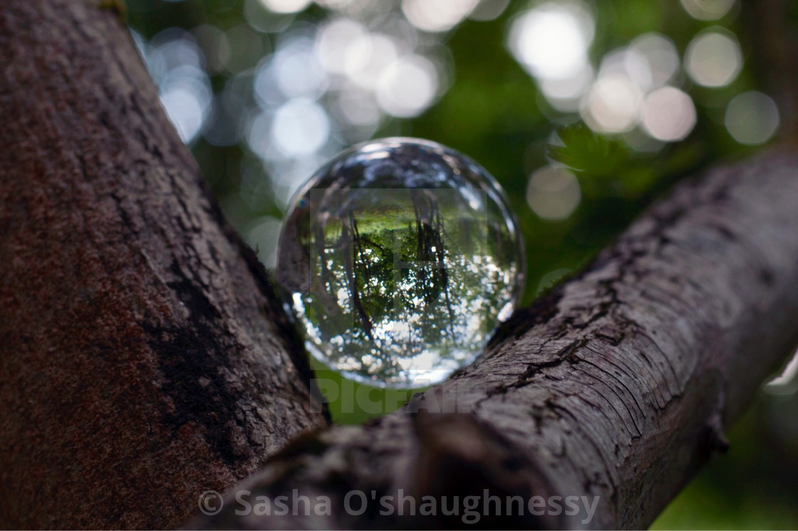 Nature Is Home License Download Or Print For 12 40 Photos Picfair,Sofa Restaurant