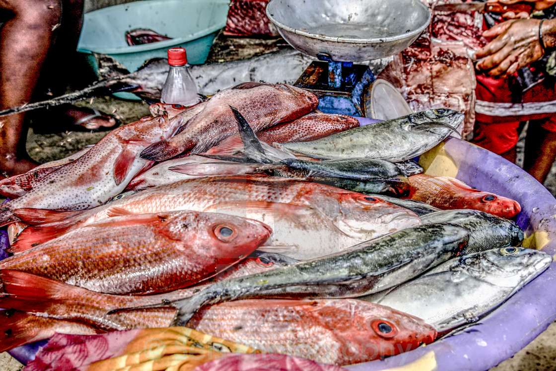 "At the fish market" stock image