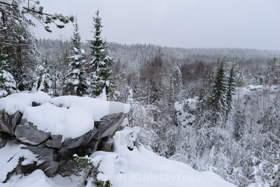 View Of The Winter Forest From A Snowy Stone Mountain License