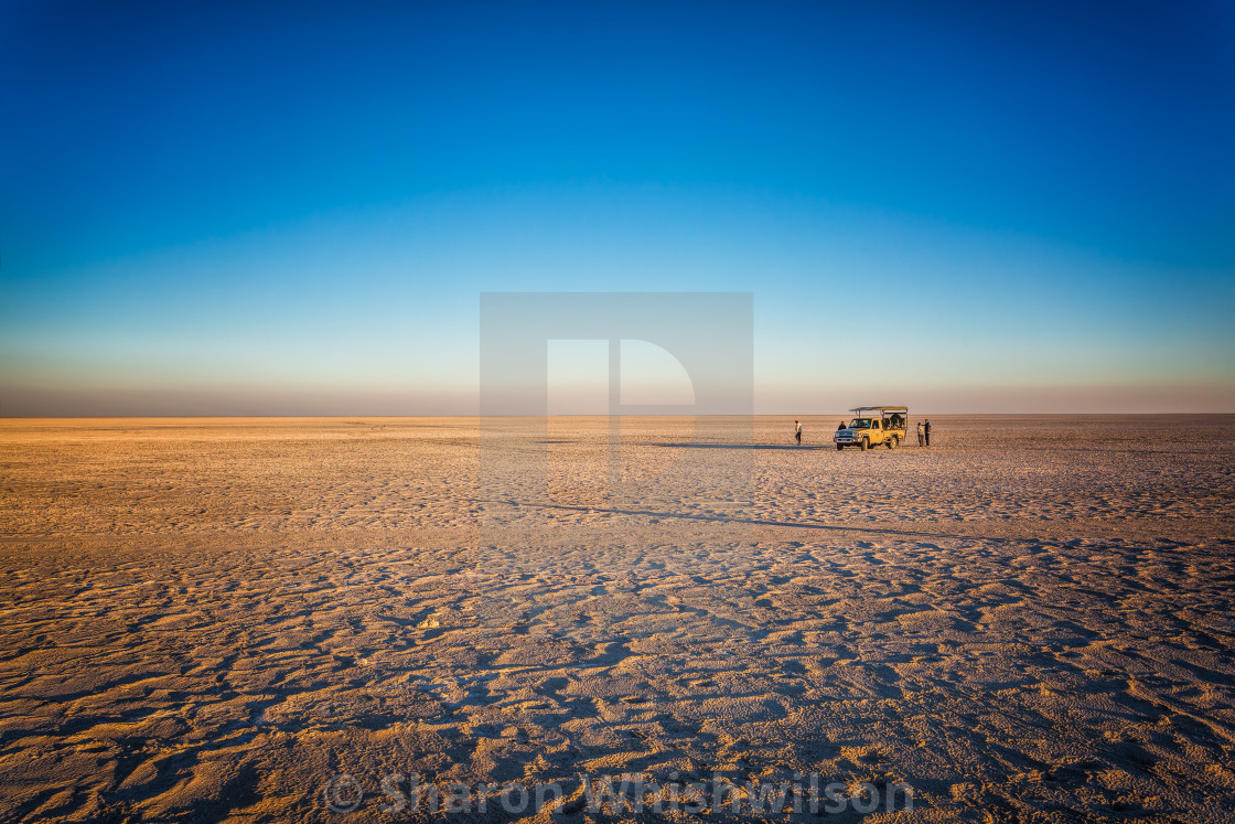 "Makgadikgadi Salt Pan" stock image