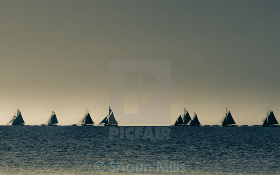 "Sails on the Horizon" stock image