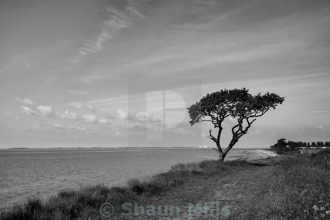 "Last Man Standing" stock image