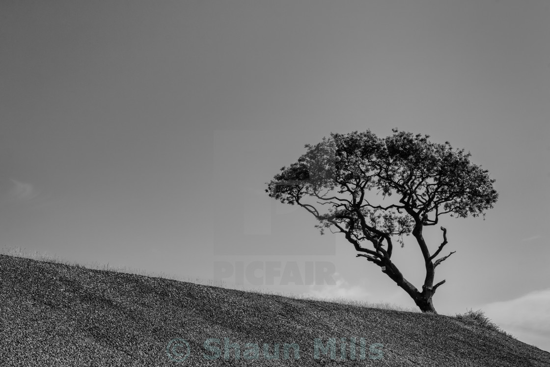 "Alone" stock image