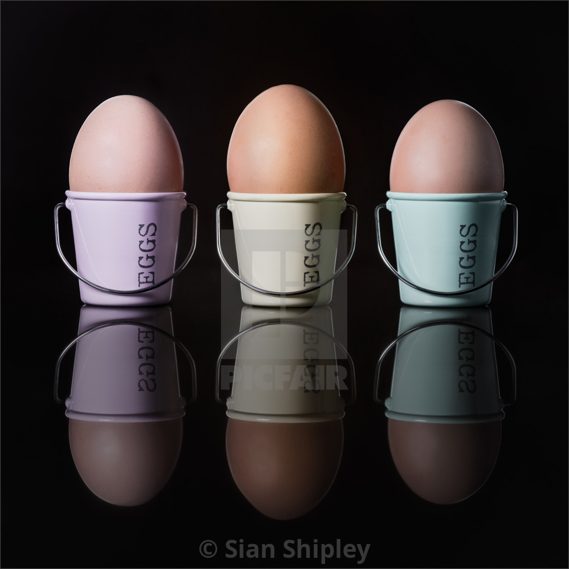 "Eggsellent | product recommendation - canvas - black wrap - 15x315inch" by Sian Shipley - $19.12 "Eggsellent | product recommendation - canvas - black wrap - 15x315inch" stock image