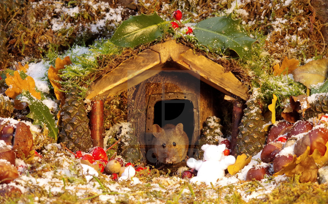 Christmas Festive Mouse Outside A Winter Log Cabin Home License