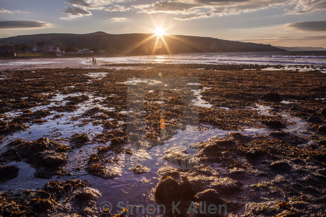 "Seaweed Sunset" stock image