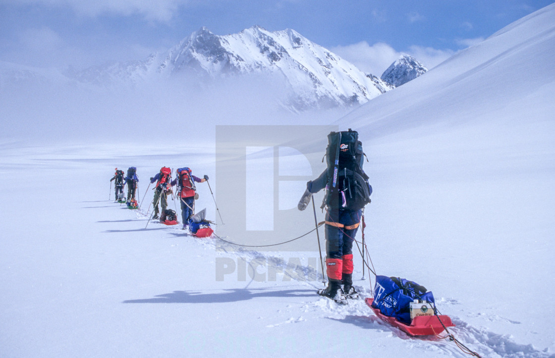 "Sled hauling Alaska" stock image