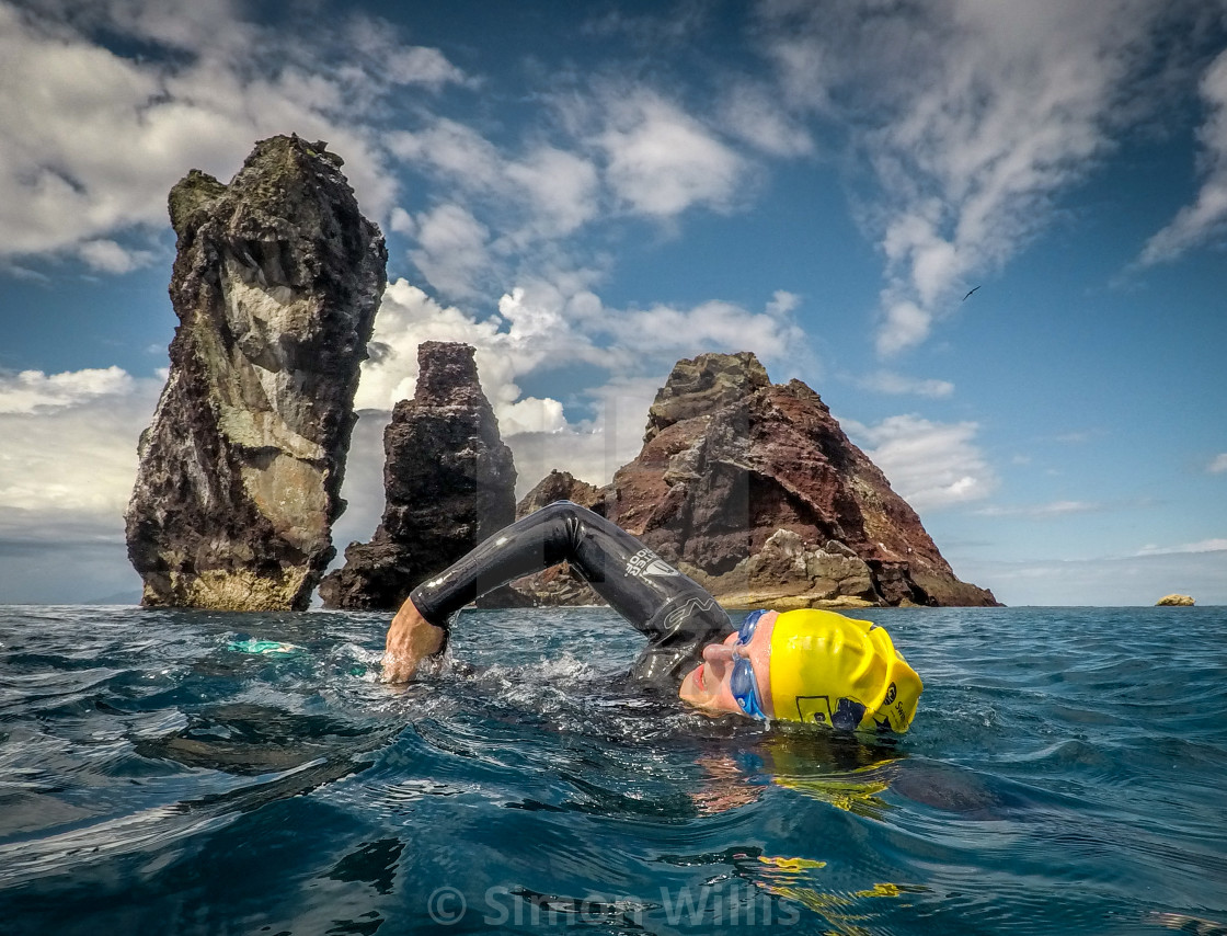 "Wild swim Galapagos Islands" by Simon Willis - $6.18 "Wild swim Galapagos Islands" stock image
