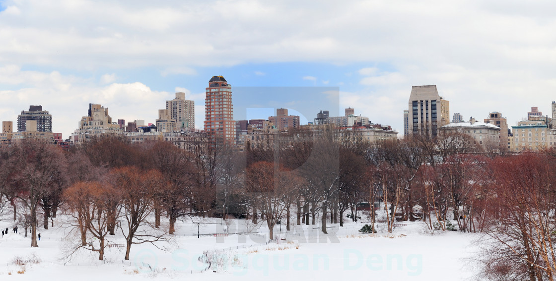 New York City Manhattan Central Park Panorama In Winter License