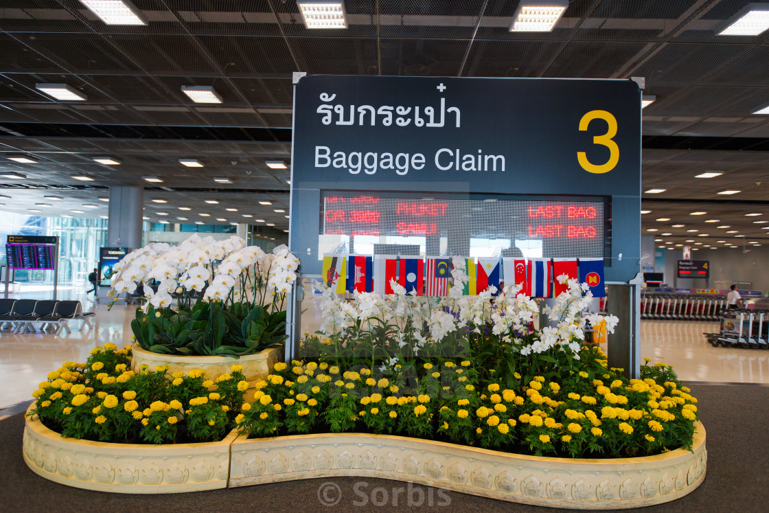 Suvarnabhumi Airport Baggage Claim Area License Download Or