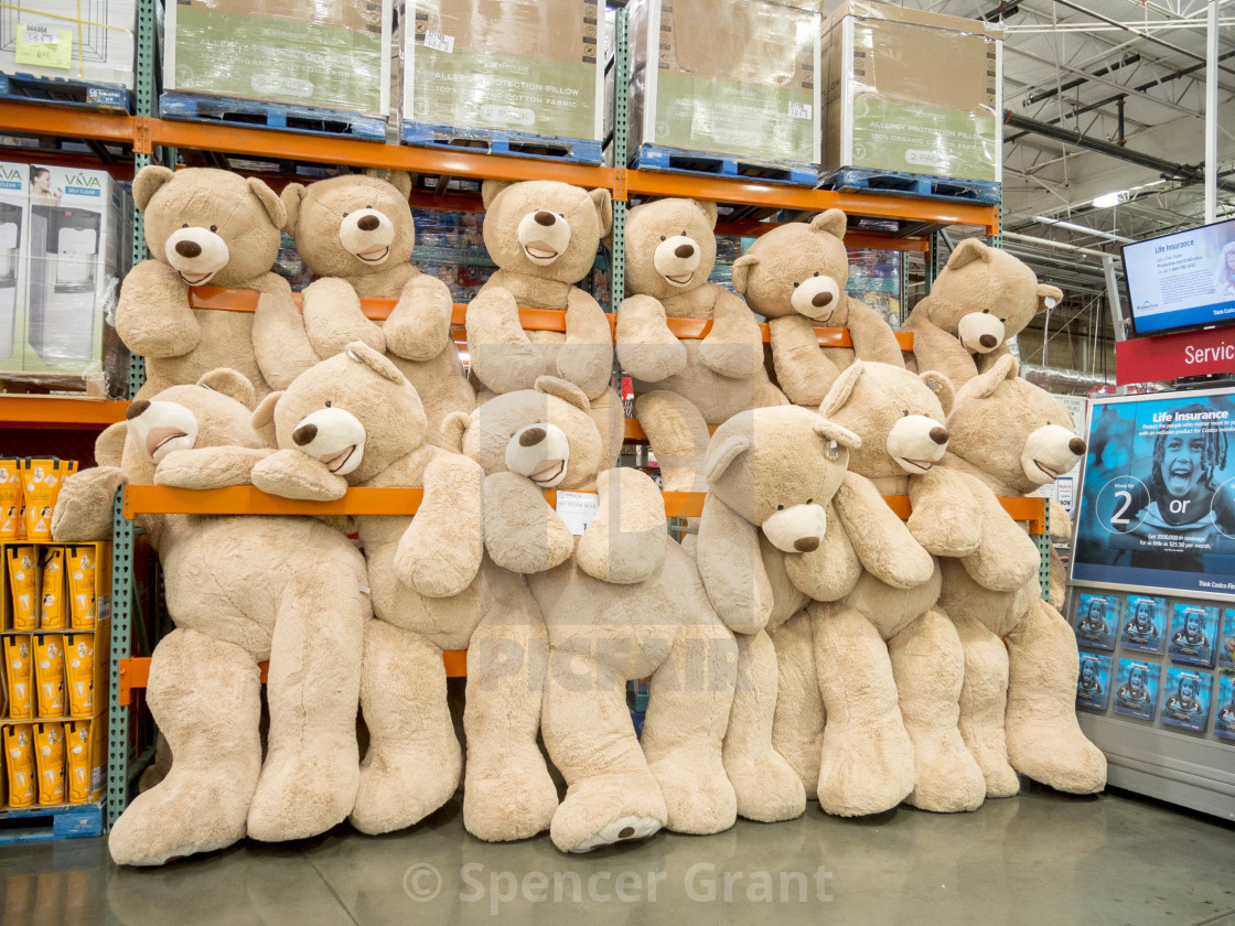 costco jumbo bear