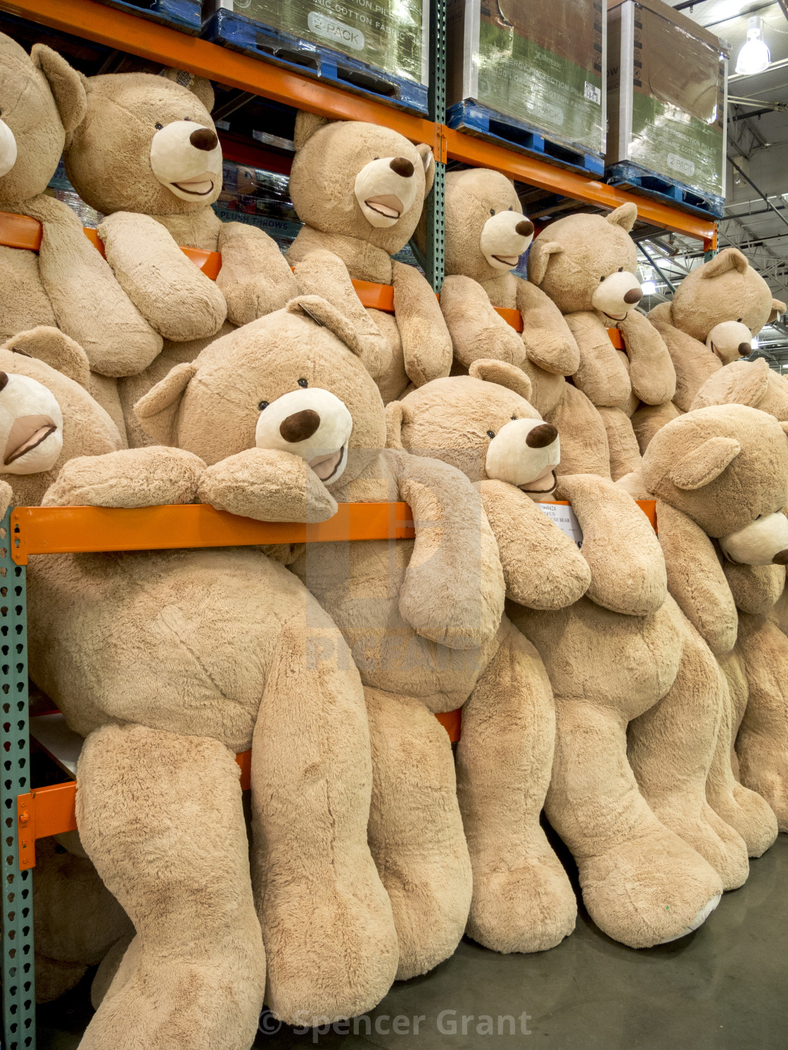 giant plush bear costco