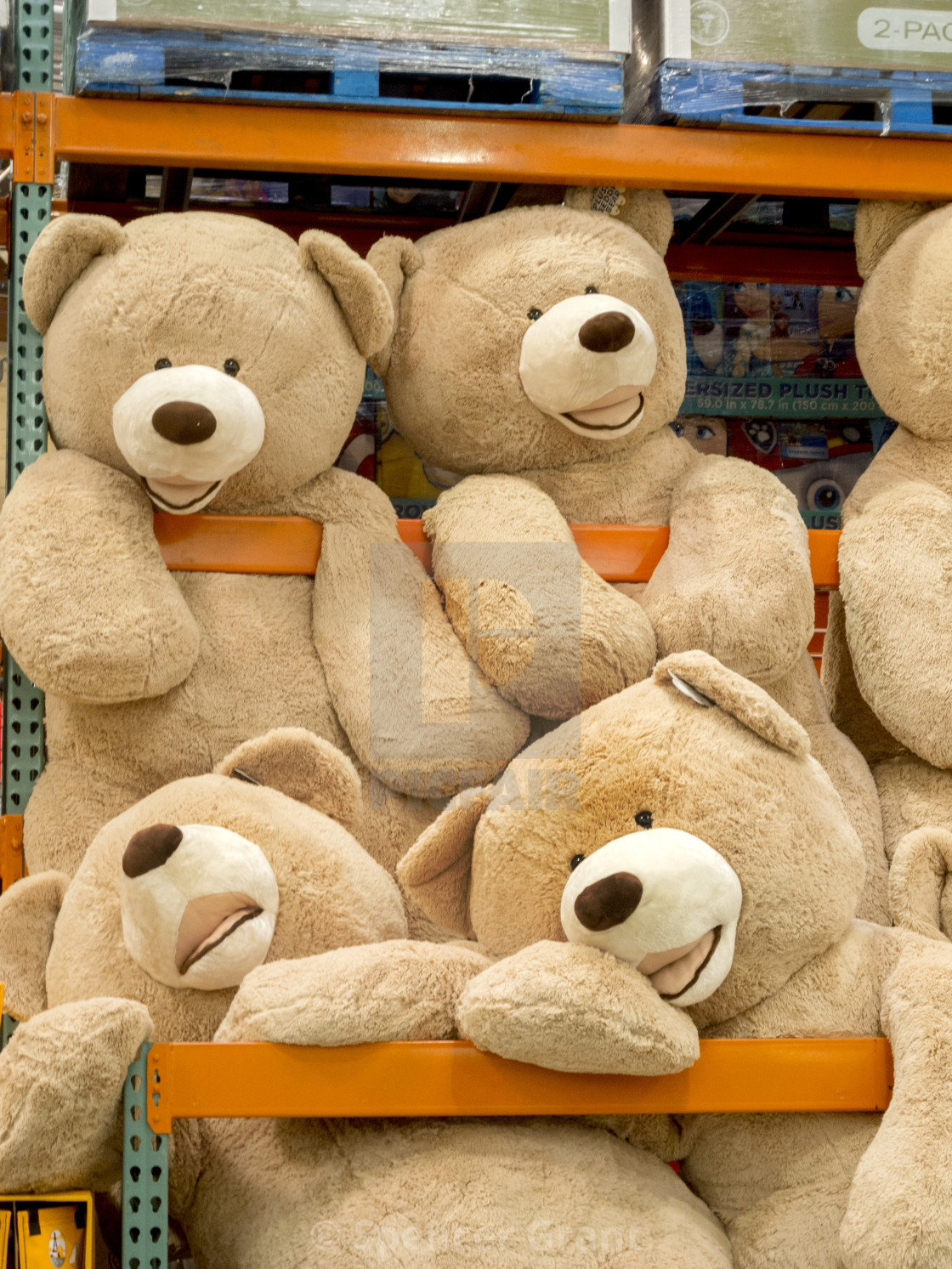 stuffed bears for sale