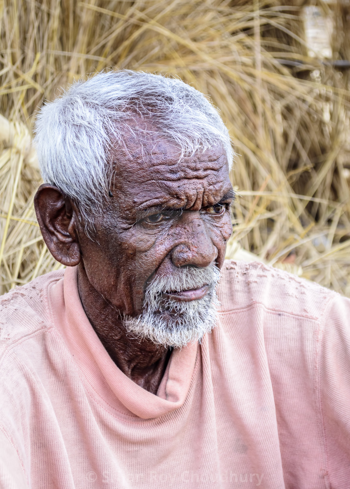 Close up of tribal old man with white hair and beard with copy - License,  download or print for £16.57 | Photos | Picfair