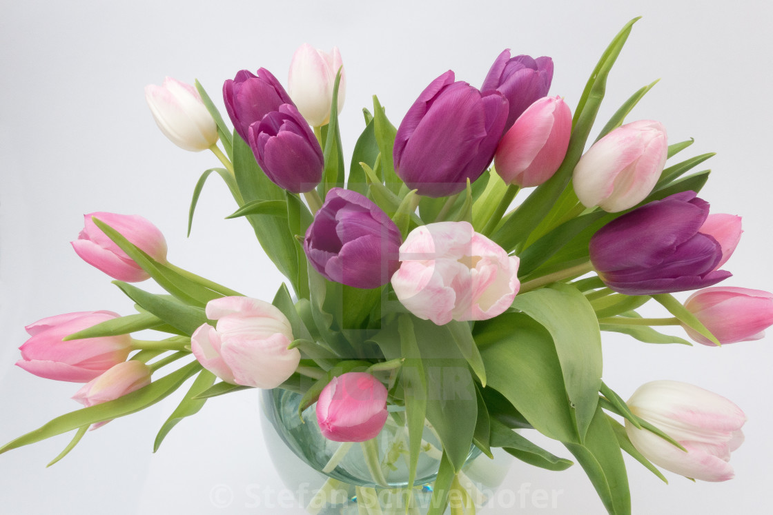 from £5.00