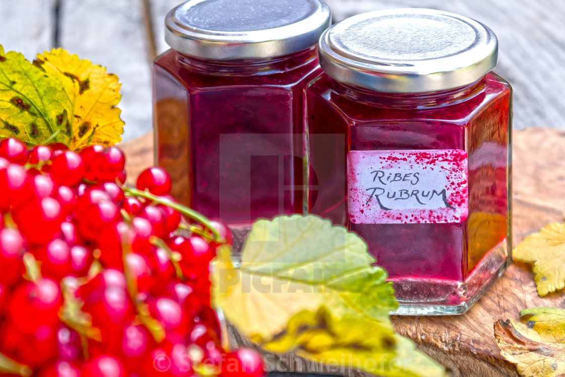 from £10.00