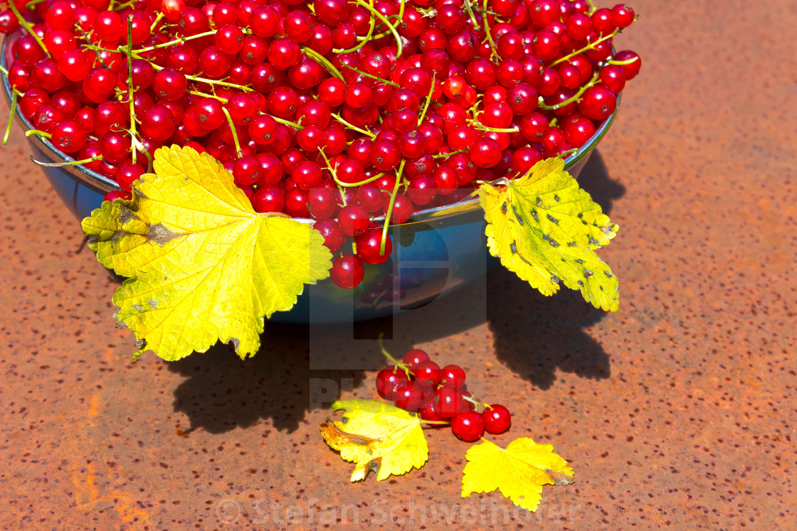 from £10.00