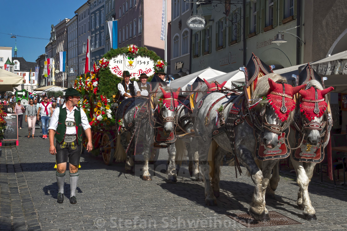 "Horse team with beer barrels" by Stefan Schweihofer - £10.00 "Horse team with beer barrels" stock image