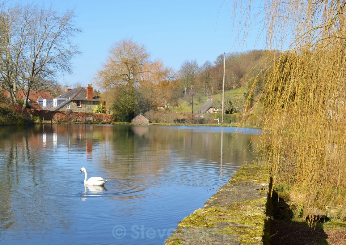 "The Village Pond." by Steve Kemp - $6.14 "The Village Pond." stock image