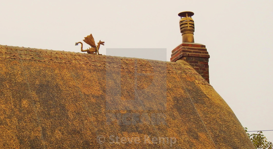 "Thatch Mythology." by Steve Kemp - $6.16 "Thatch Mythology." stock image
